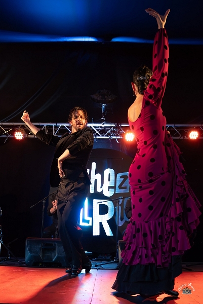 flamenco (90)